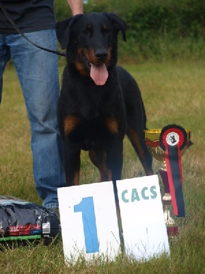 Du jardin d'élisée - Djack  remporte le CACS de la NE 2011